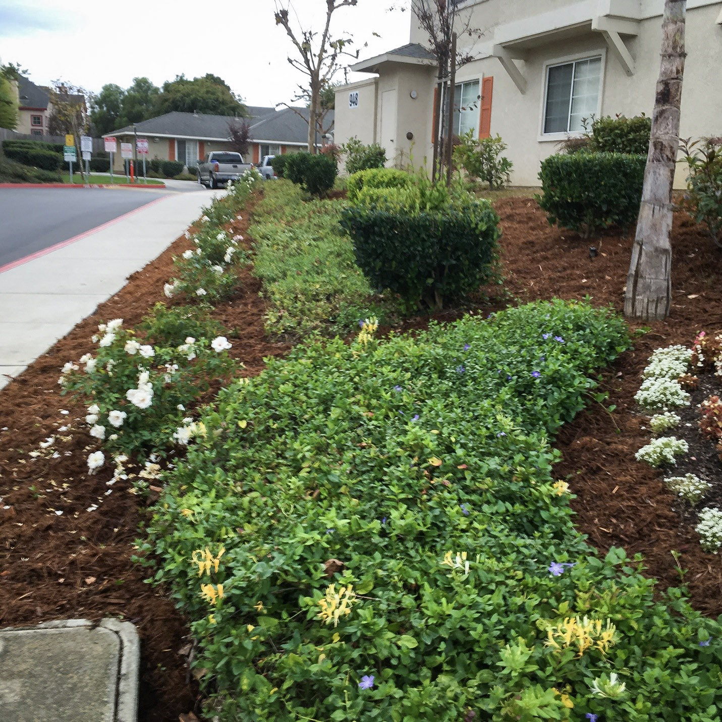 Apartments for rent in Salinas, CA